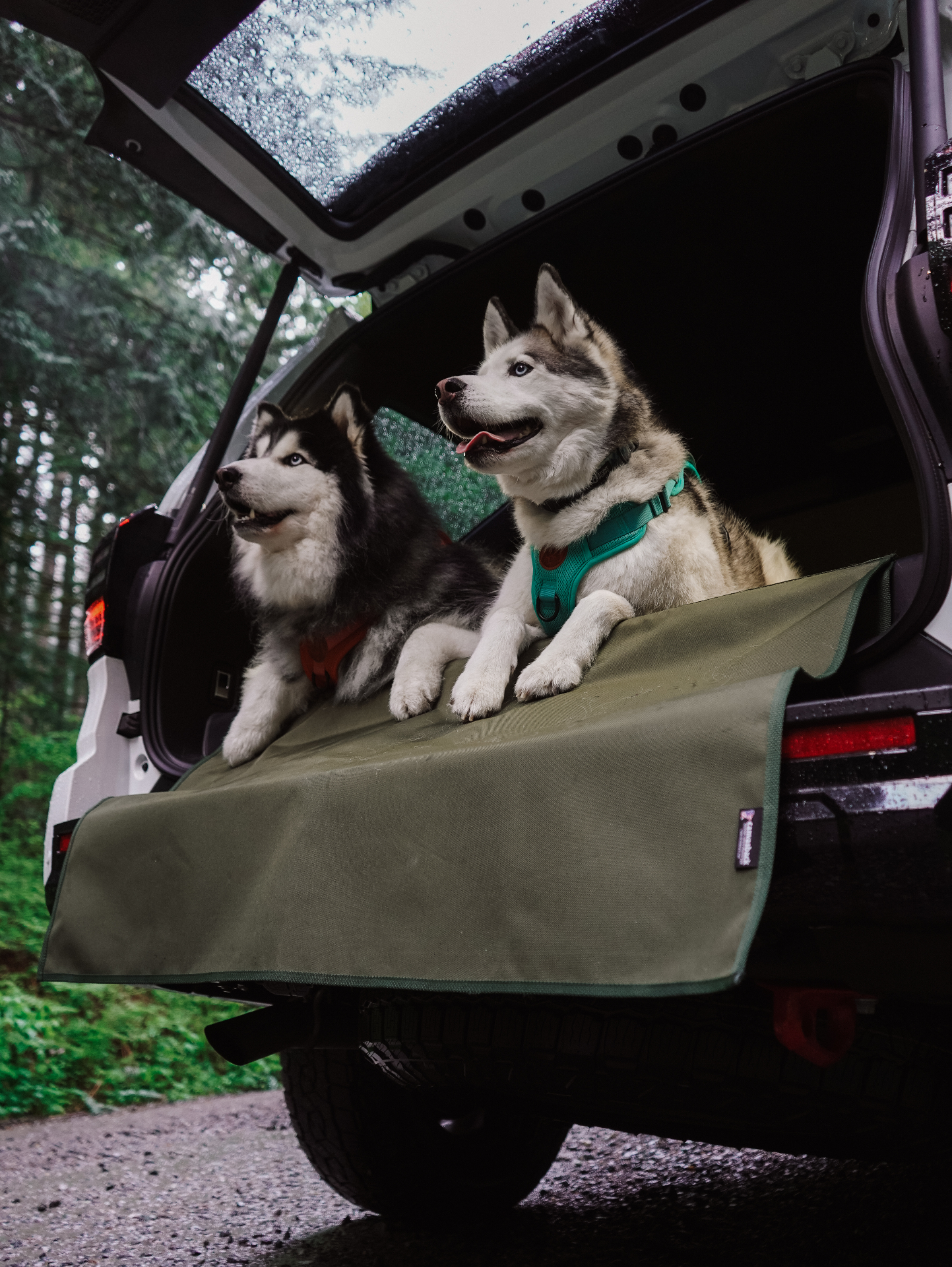 Canvasback Cargo Liner