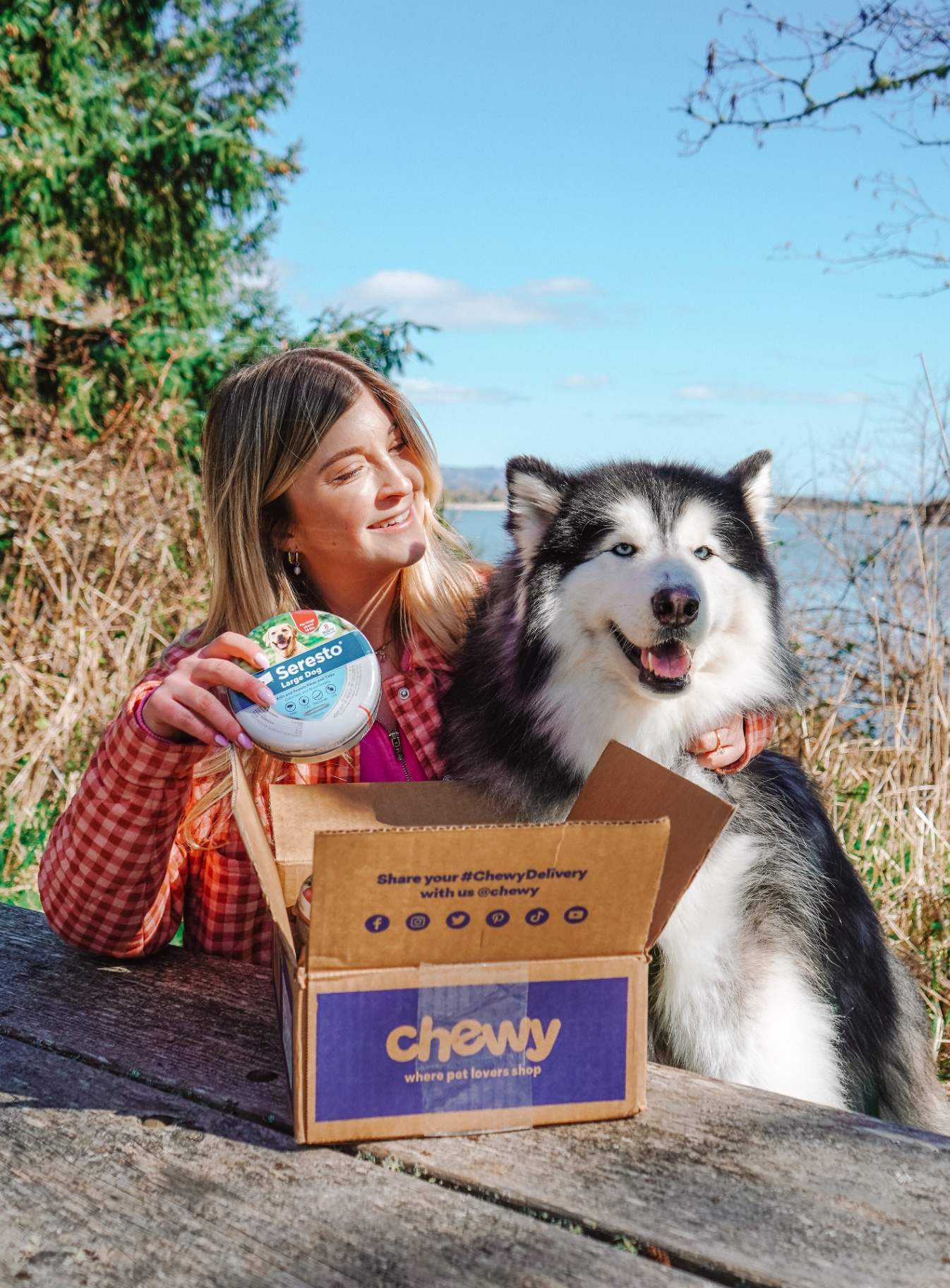 Chewy Seresto Flea and Tick Collar