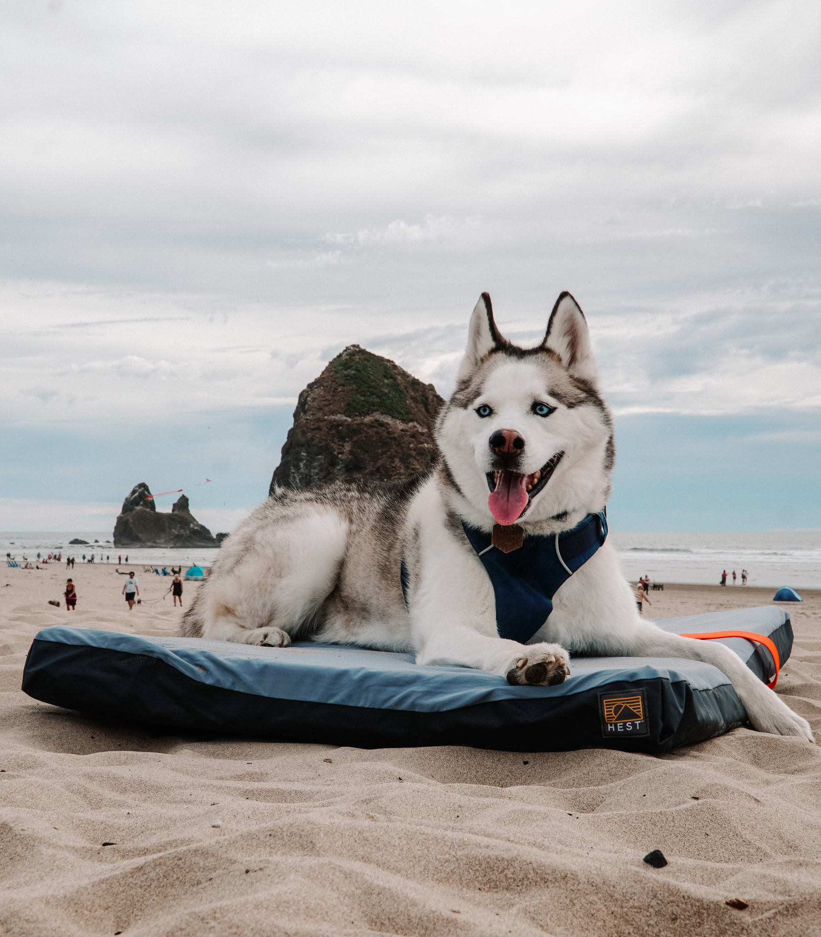 HEST Dog Bed
