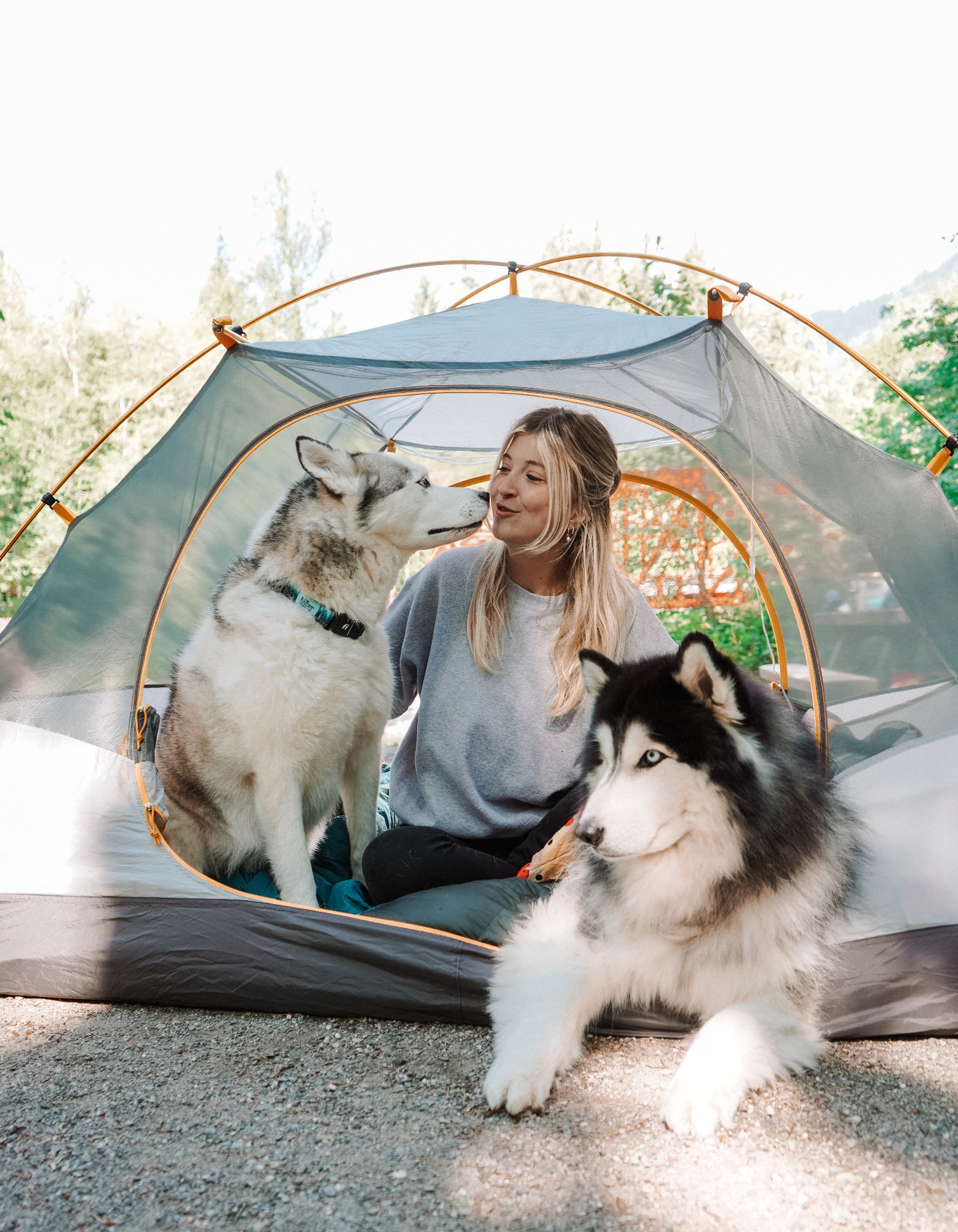 Hailey with Apache and Delta in a tent